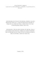 prikaz prve stranice dokumenta MInimiziranje poslovnih rizika mikro, malih i srednjih poduzeća tokom kriznih razdoblja: percepcija poduzetnika o rizicima unutar gospodarske krize 2020.-2022.